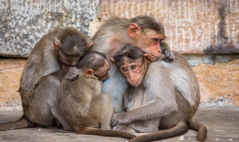 Когато осъзнах, че съм невидима: История от сърцето на София