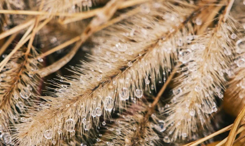 Когато съпругът ми подари цялата ми работа на майка си – българска семейна буря от кухнята