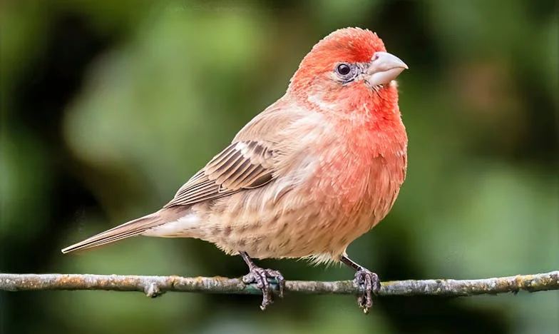 Когато всичко се разпада: Историята на една майка, дъщеря и внук