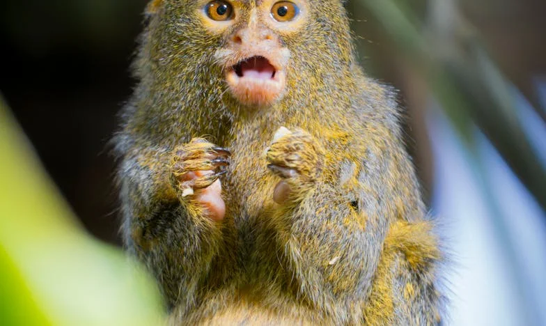 Кой има право на името на сина ми?