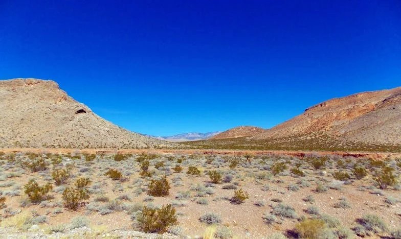 Моите пари или моята свобода? Историята на Яна, която се страхуваше да си тръгне