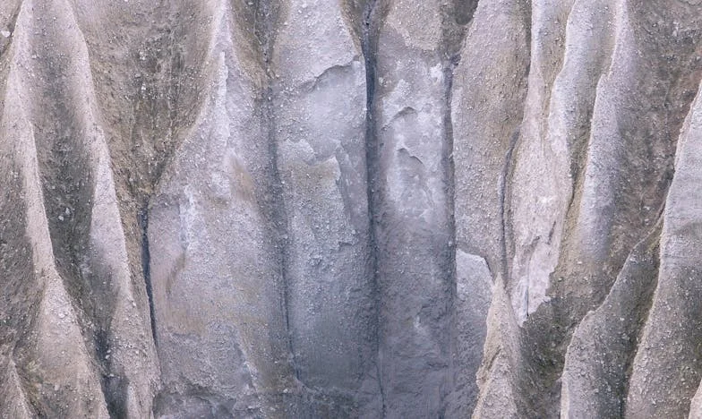 Моята фамилия – паразити: Как с Амра решихме да сложим край на всичко