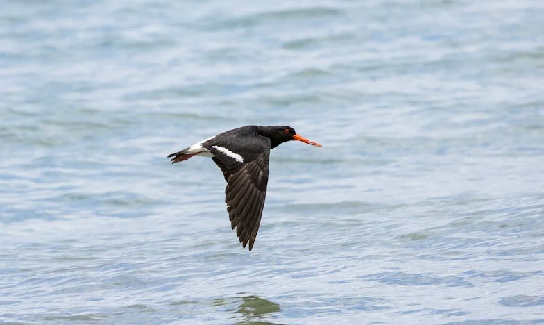 Не съм достатъчно добра – Една любов, разбита от предразсъдъци