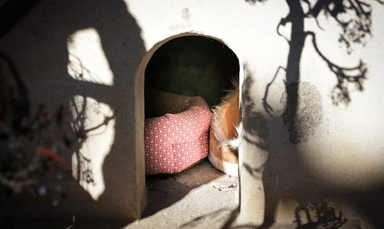 Седях срещу него, а светът се срина: История за предателство, смелост и ново начало в София