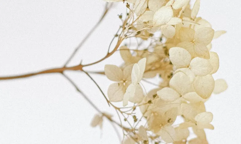 Свекървата ми отнесе всичко – дори и чайника! Българска семейна драма между четири стени