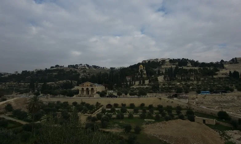 Сянката на доверието: Когато семейството се превърне в непознати