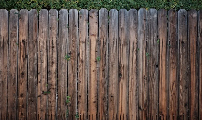 Тайната на старата сребърна кутия