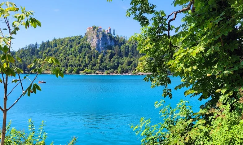 „Ако не искаш да седнеш с моето семейство, само сготви и сложи масата, после си тръгни!“ – Моята битка за уважение в българско семейство