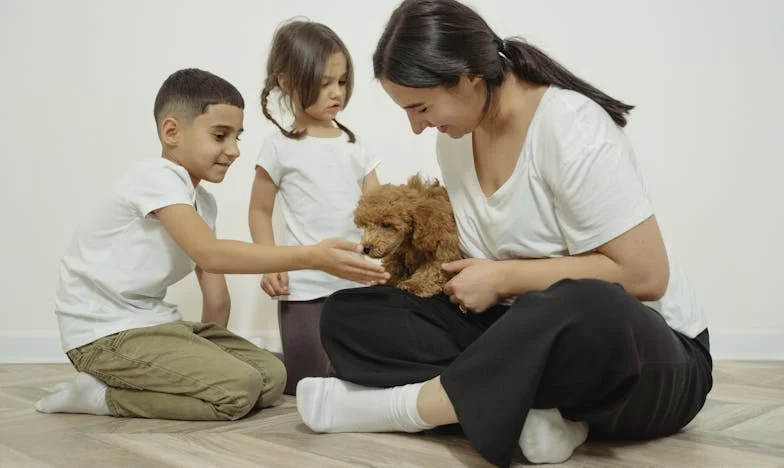 Когато собственият дом стане чужд: Историята на една майка