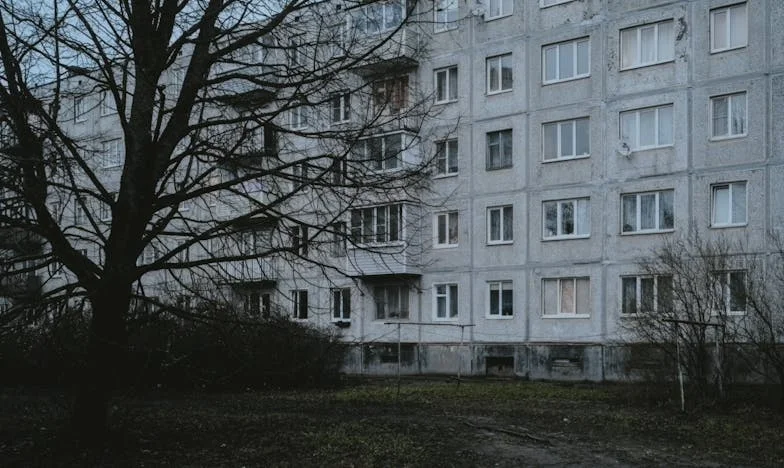 Нощта, в която изгубих и намерих София: История за страх, надежда и семейни рани