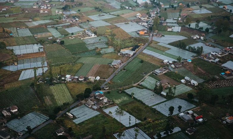 От студенина до споделен смях: Как със свекърва ми преминахме от вражда към разбирателство
