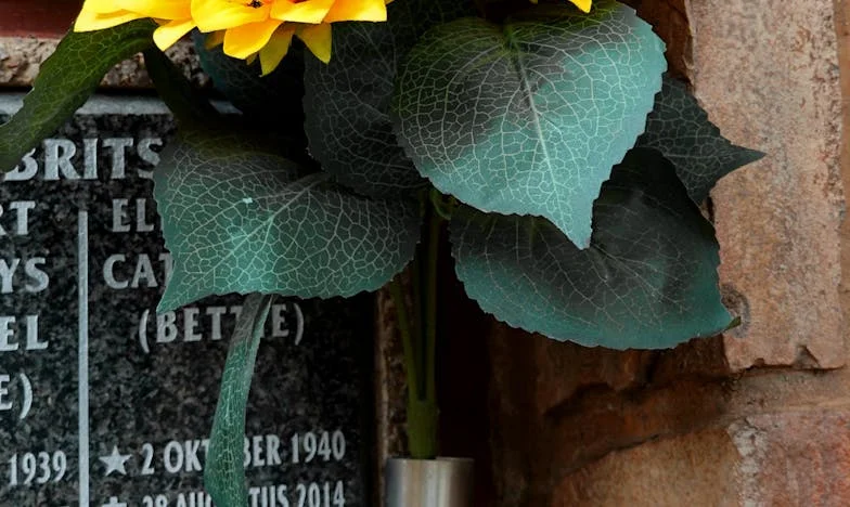 Под един покрив: Измяна, кражба и тишина между нас