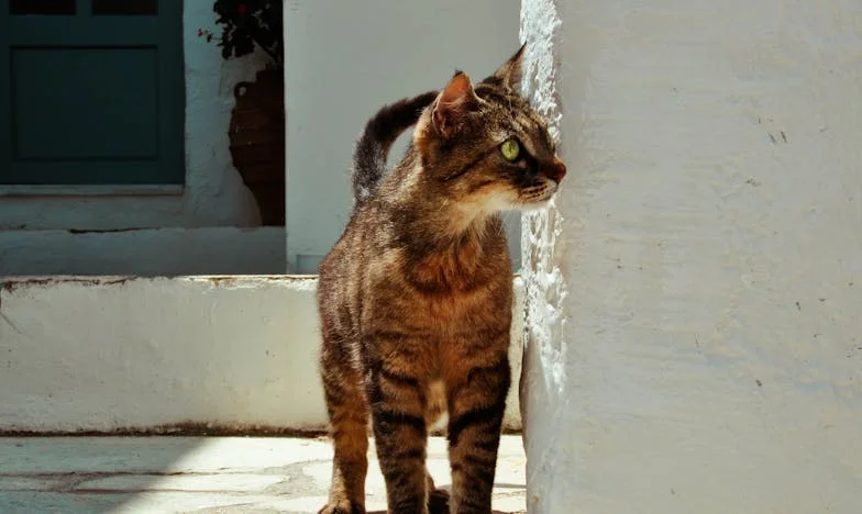 Ръката върху портфейла не е любов: Пътят на Ива между страха и свободата