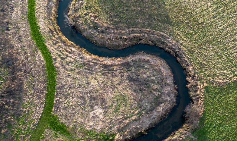 Срамът да простиш: Историята на една разбита любов