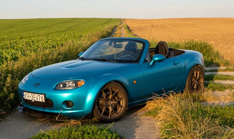 Сянката на майка ми: Историята на една българска сестра