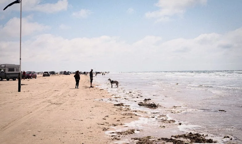 Завещанието, което разруши семейството ми: История за несправедливост и тиха болка