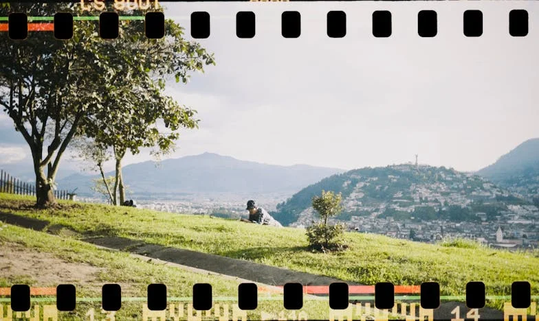 Чужденец в собственото си семейство: Историята на един неканен гост