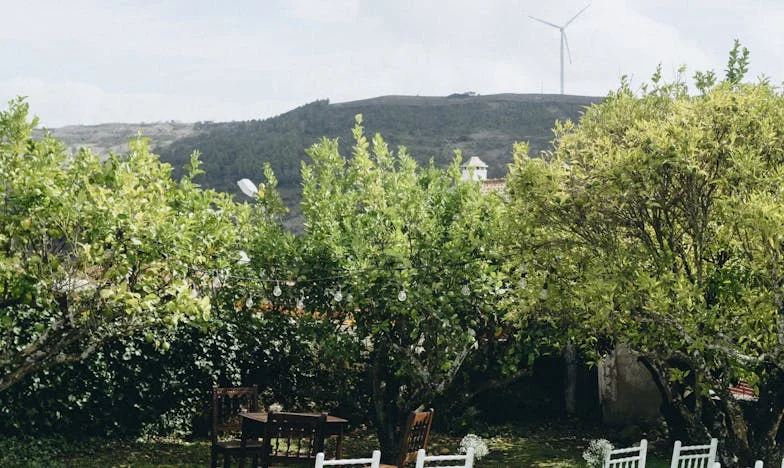 Две лица на истината: Когато близнаците промениха всичко