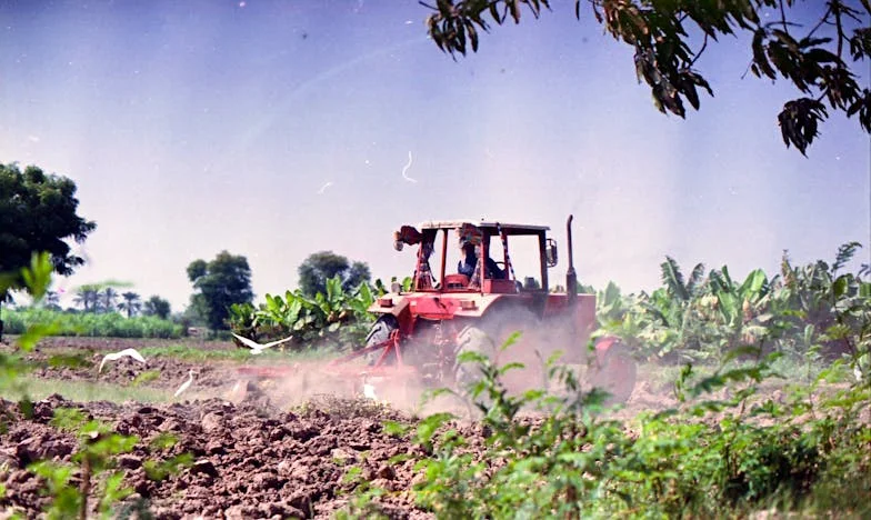 Любовта на майката: Изгубена и намерена