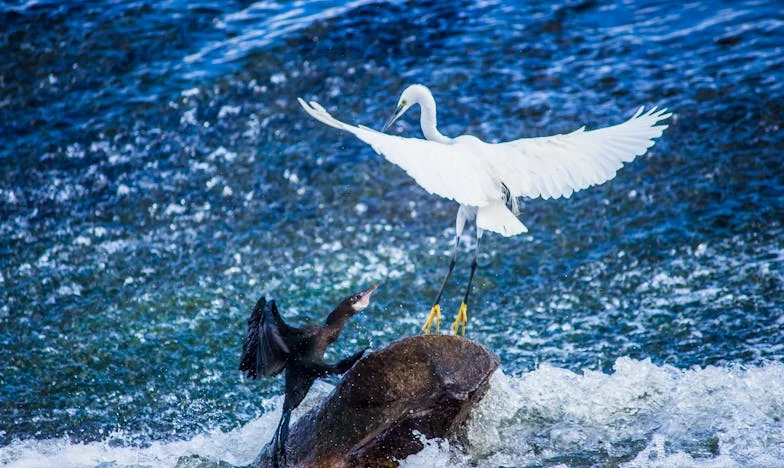 Неделната утрин, в която миналото почука на вратата ми