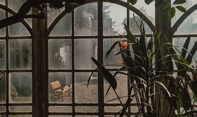 Последната ябълкова пита на баба: История за забравата, любовта и самотата