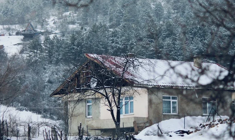 Сенки върху тортата: Борбата на една дъщеря да бъде видяна