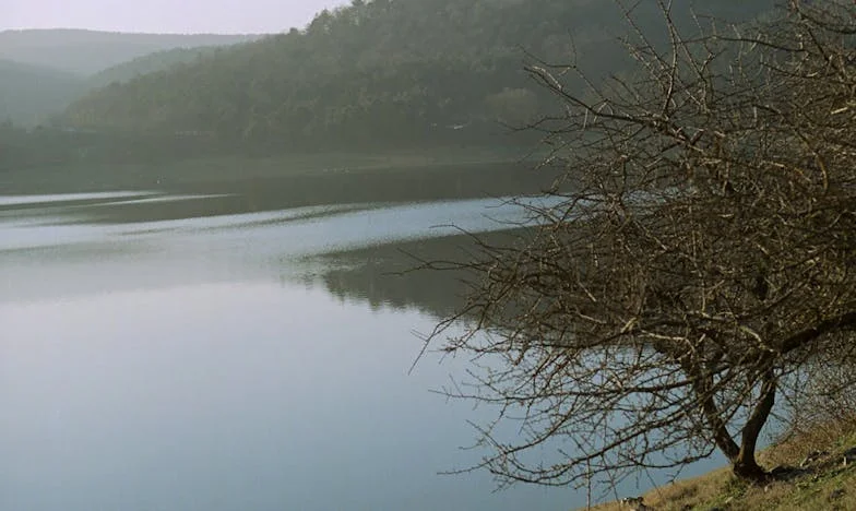 Шокиращата тайна на моята зълва: Как една фалшива бременност разтърси нашето семейство