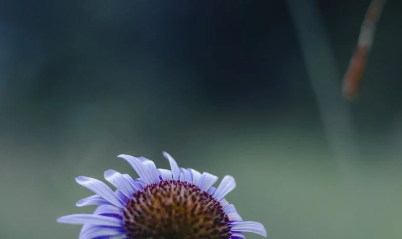 Скъсани окови: Скритата сила на една майка