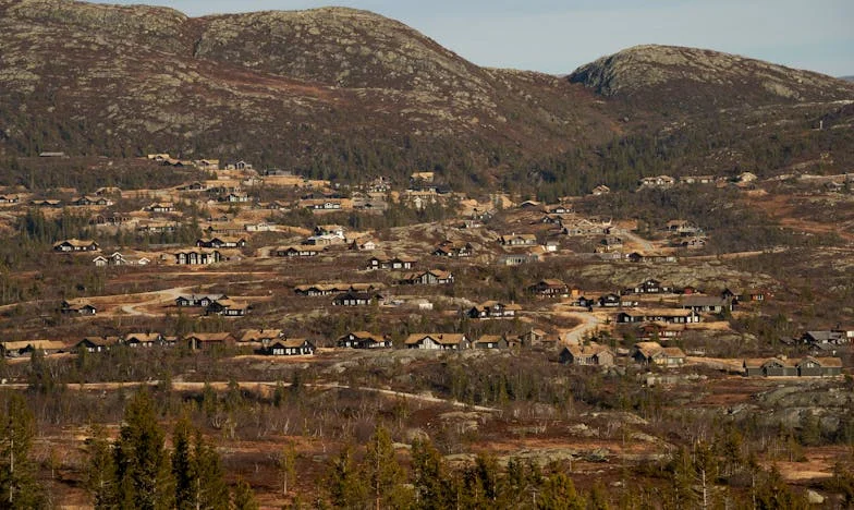 Трески и тайни: Навесът, който промени всичко