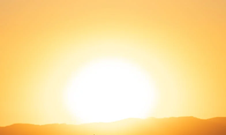 Завръщане в празния дом: Как алчността на зет ми разруши семейството ми