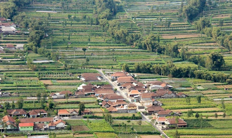 Između Dviju Kuća: Moj Muž, Njegova Majka i Ja