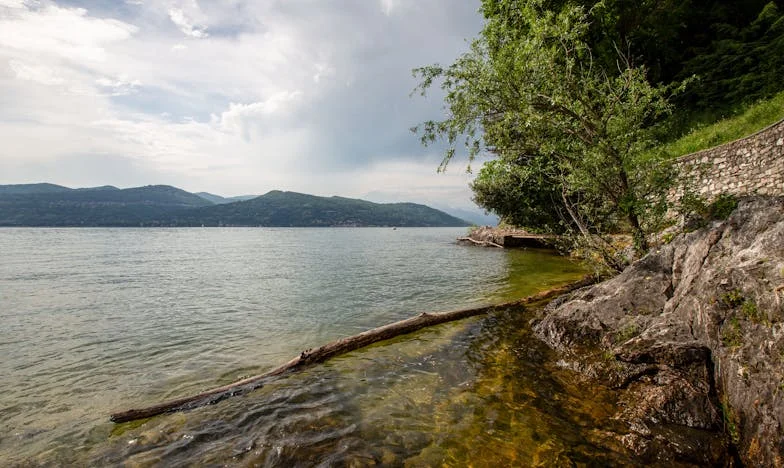 U sjeni brata: Kako sam naučila oprostiti sebi i njima