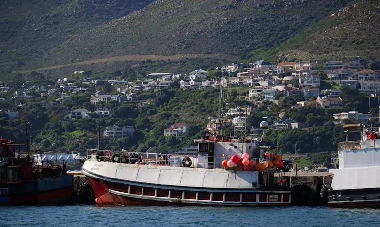Kada prošlost pokuca na vrata: Istina za obiteljskim stolom