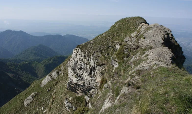 Kad Suze Kapnu Na Stol: Obiteljski Ručak Koji Je Sve Promijenio