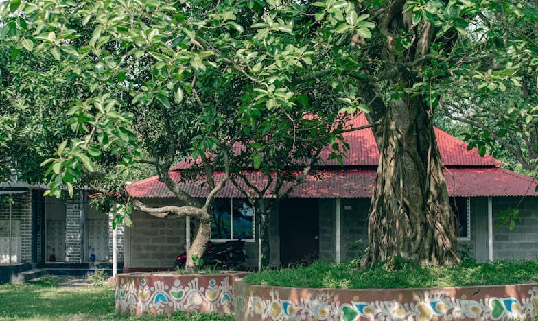 Moja svekrva mi je uzela ručak i pohvalila se na Instagramu: Priča o granicama i obitelji