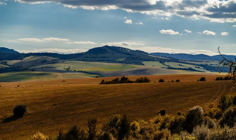Između Dva Doma: Priča o Majci, Sinu i Ljetnoj Kući