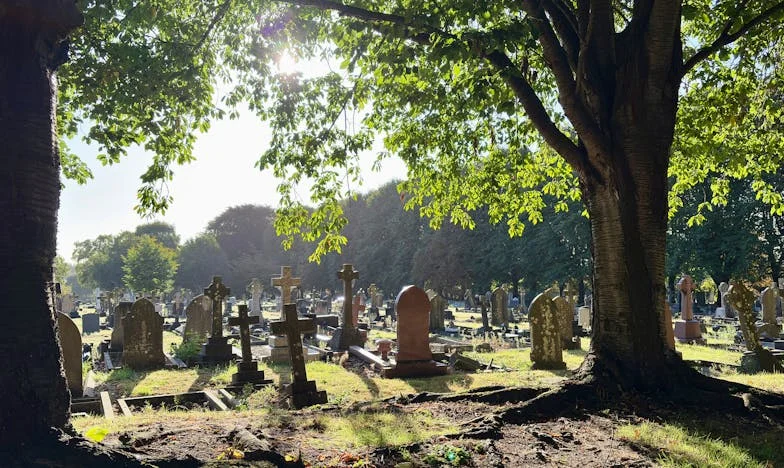 Kad sam postala gost u vlastitoj obitelji: Priča jedne majke