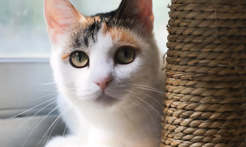 Djedova ruka na mom srcu: Susret u parku koji mi je promijenio život