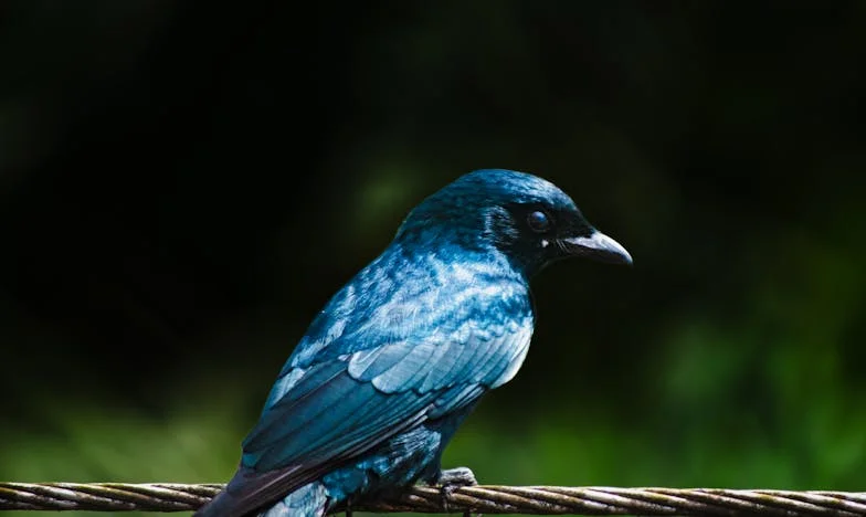 Eksperiment s Datum: Kad Sam Se Pretvarao da Sam Siromašan