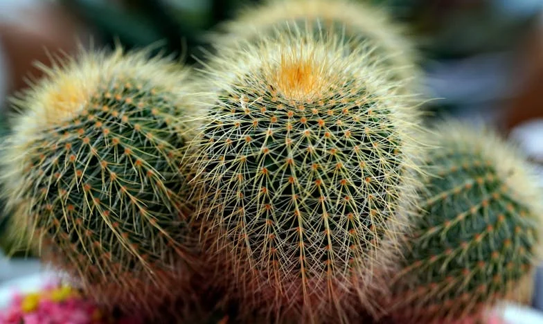 „Imate mjesec dana da nađete drugi stan. Od sada ću živjeti sama”: Priča jedne majke iz Zagreba