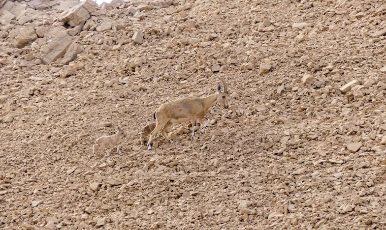 Incident koji me naučio reći 'Ne': Kad rodbina ne da mira ni na moru