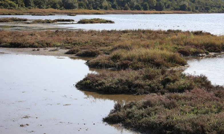 Ispod istog krova: Kako sam preživjela izdaju i bolest