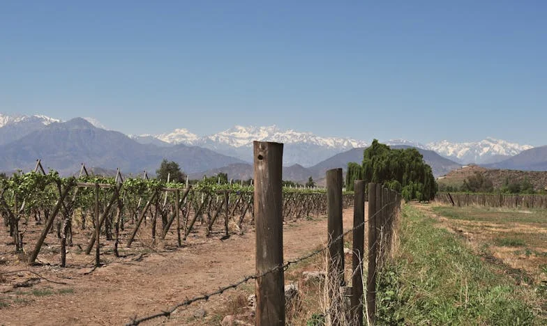 Ispod Površine: Tajni Život Mog Muža