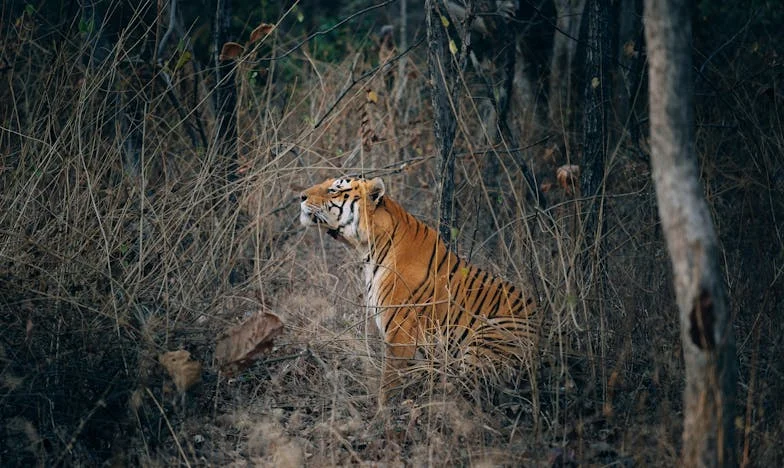 Izbacila sam sina iz kuće i uselila se kod njegove žene: Nema kajanja, samo gorka istina