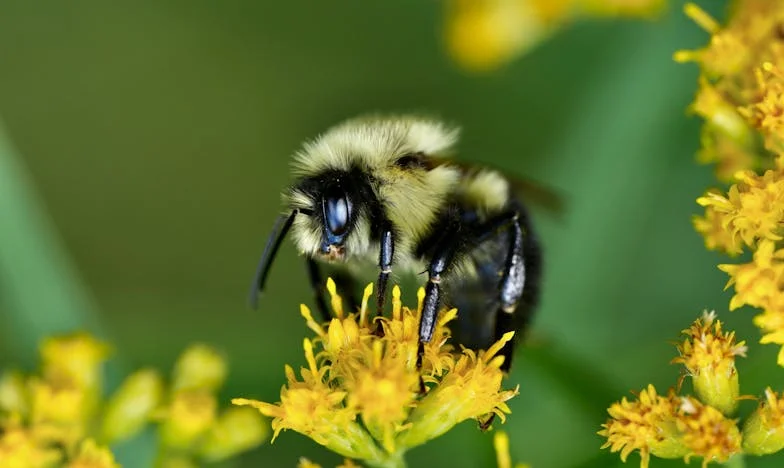 Između ljubavi i šutnje: Ispovijest jedne bake
