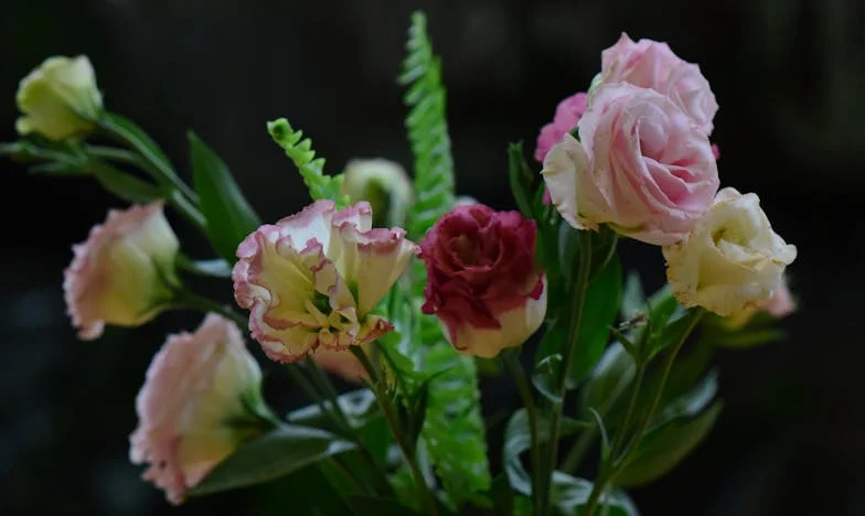 Između Obećanja i Oprosta: Kako Sam Molitvom Pronašla Mir u Obitelji