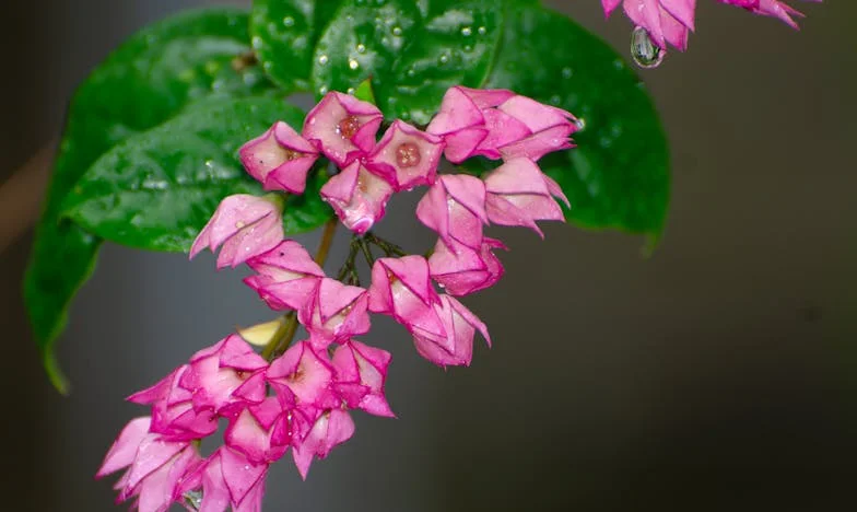 Između Obećanja i Oprosta: Kako Sam Molitvom Pronašla Mir u Oluji Porodičnih Svađa