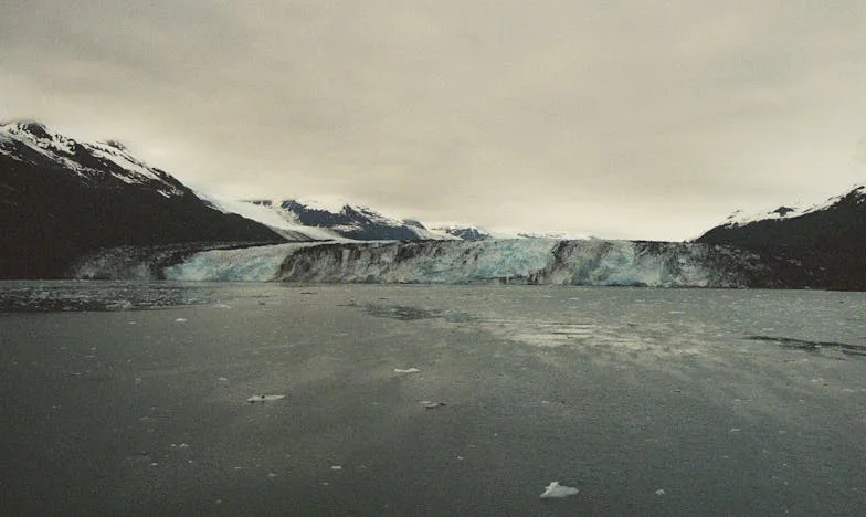 Između srca i razuma: Priča o drugoj šansi