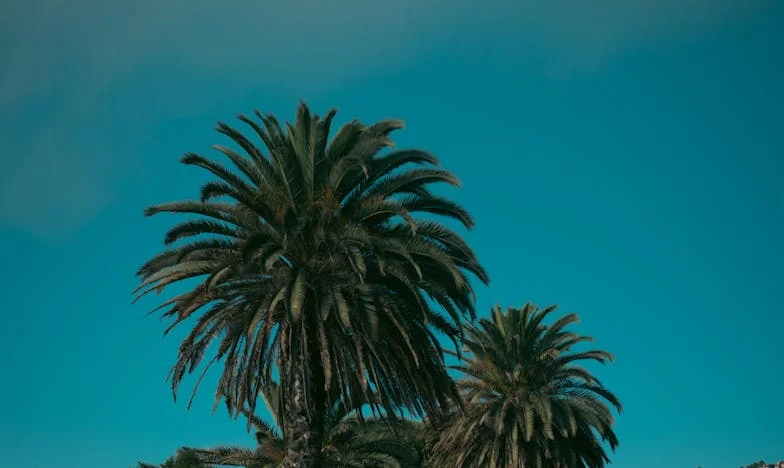 Između tišine i oluje: Priča o obitelji Kovačević