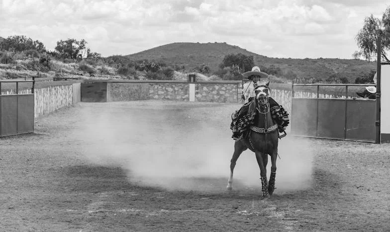 Između zidova naslijeđa: Priča o Lejli s ulice Zmaja od Bosne